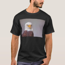 Aigle