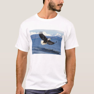 T-shirt aigle royal, Haliaeetus leuccocephalus, en vol