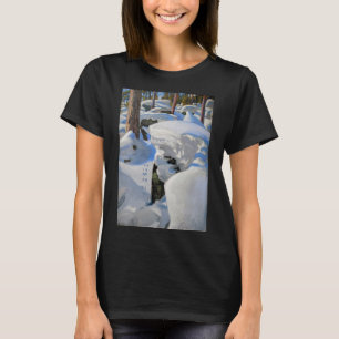 T-shirt Akseli Gallen-Kallela - Le repaire du Lynx