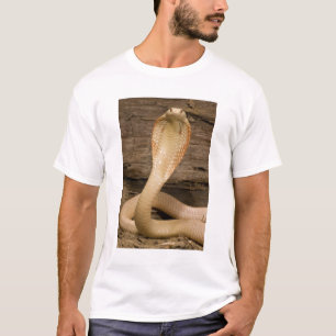 T-shirt Albino Monacled Cobra, Naja kaouthia, enroulé
