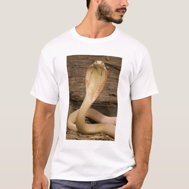 T-shirt Albino Monacled Cobra, Naja kaouthia, enroulé (Devant)