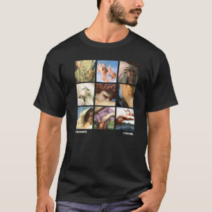 T-shirt Alexandre Cabanel Peintures Célèbres Grille