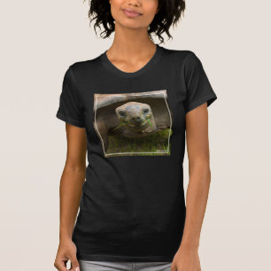T-shirt Alimentation de tortue d'Aldabra
