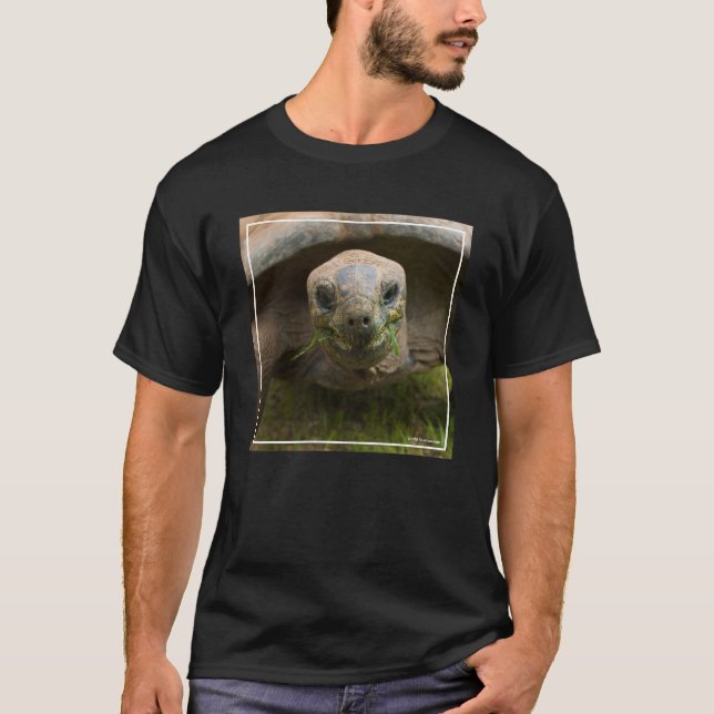 T-shirt Alimentation de tortue d'Aldabra (Devant)