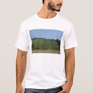 T-shirt Allemagne, Franconie, Rothenburg. Vue le long de