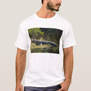 T-shirt Alligator américain se reposant le long d'une zone