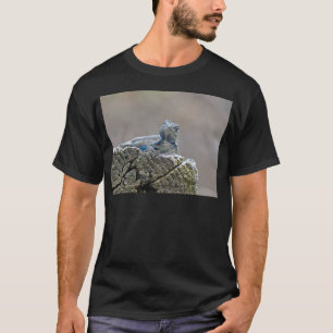 T-shirt Alligator du ventre bleu Lizard