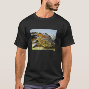 T-shirt Alligator. Face à face