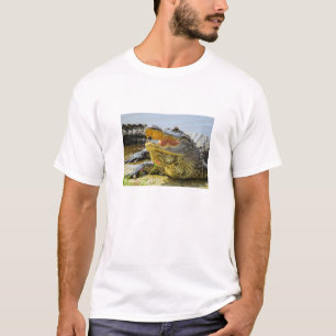 T-shirt Alligator. Face à face