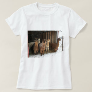 T - Shirt - Alpacas im Schnee