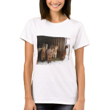 T - Shirt - Alpacas im Schnee