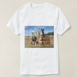 T-Shirt - Alpacas Phaethon, orge et Marvin