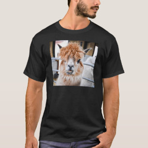 T-shirt Alpaga