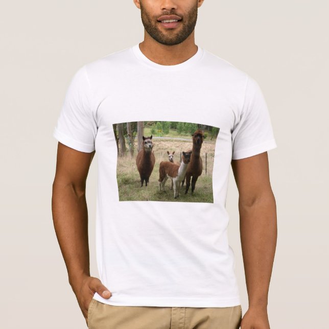 T-shirt Alpaga Brown mignons dans le zoo (Devant)