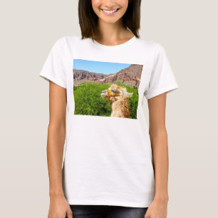 T-shirt Alpaga près de Salta, Argentine