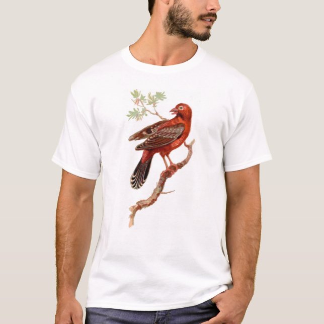 T-shirt amandava sur le blanc (Devant)