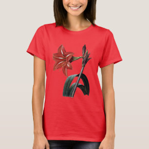T-shirt Amaryllis barrée