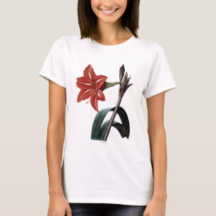 T-shirt Amaryllis barrée