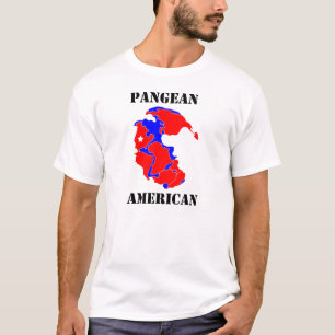 T-shirt Américain de Pangean