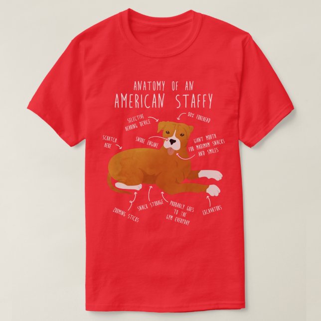 T-shirt American Staffordshire Terrier Amstaff (Design devant)