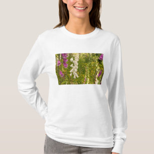 T-shirt Amérique du Nord, Canada, Îles de la Reine-Charlot