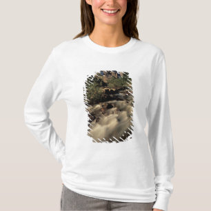 T-shirt Amérique du Nord, Canada, Rocheuses canadiennes, B
