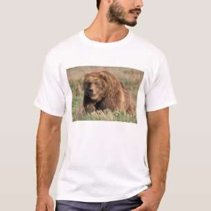 T-shirt Amérique du Nord, États-Unis, Alaska, île de Kodia