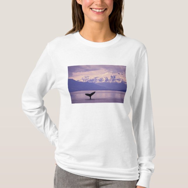 T-shirt Amérique du Nord, États-Unis, Alaska, Passage inté (Devant)