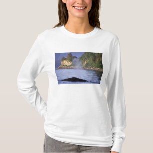 T-shirt Amérique du Nord, États-Unis, Alaska, Passage inté