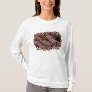 T-shirt Amérique du Nord, États-Unis, Alaska, Yukon Delta