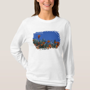 T-shirt Amérique du Nord, États-Unis, Californie, Antelope