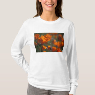 T-shirt Amérique du Nord, États-Unis, Californie, Antelope