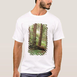 T-shirt Amérique du Nord, États-Unis, Californie, Big Sur,