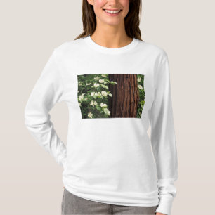 T-shirt Amérique du Nord, États-Unis, Californie, Yosemite