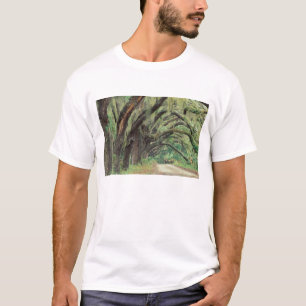 T-shirt Amérique du Nord, États-Unis, Géorgie, Cumberland
