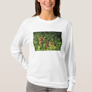 T-shirt Amérique du Nord, États-Unis, Minnesota. Cerf à qu