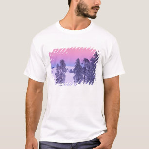 T-shirt Amérique du Nord, États-Unis, Montana, Yellowstone