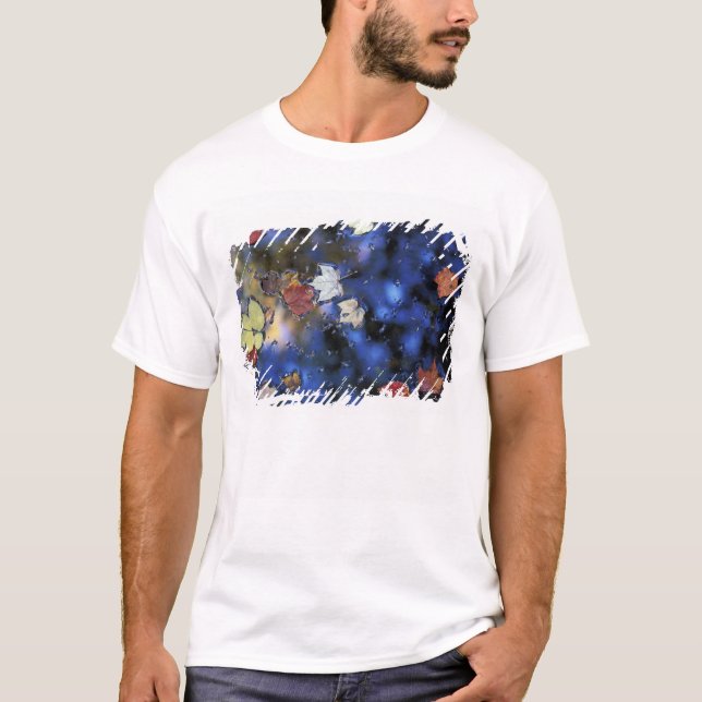 T-shirt Amérique du Nord, États-Unis, NH, Feuilles dans un (Devant)