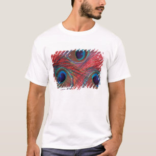 T-shirt Amérique du Nord, États-Unis, WA, Redmond, Paon