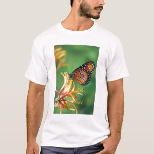 T-shirt Amérique du Nord, États-Unis, WA, Seattle, Woodlan
