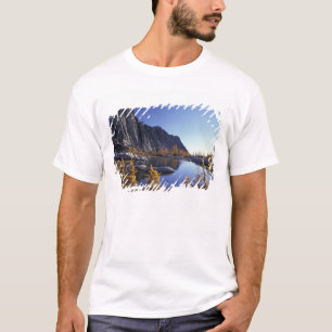 T-shirt Amérique du Nord, États-Unis, Washington, Enchan