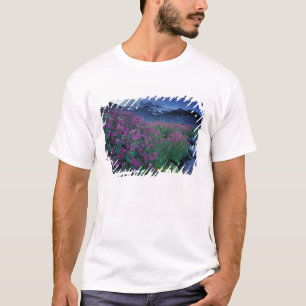 T-shirt Amérique du Nord, États-Unis, Washington, Mt. Rain