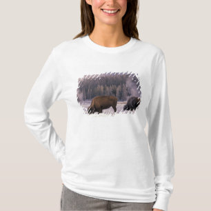T-shirt Amérique du Nord, États-Unis, Wyoming, Yellowstone