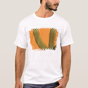 T-shirt Amérique du Nord, Mexique, Basse-Californie, Cabo