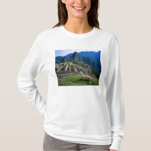 T-shirt Amérique du Sud, Pérou. Un lama se repose sur une