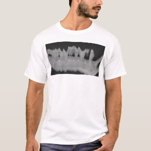 T-shirt amertume 1