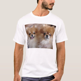 T-shirt Amis de Pomeranian