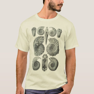 T-shirt Ammonites