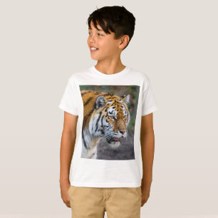 T-shirt Amur tiger