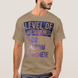T-shirt Amusant Niveau De Compréhension Faible Cadeau Moye